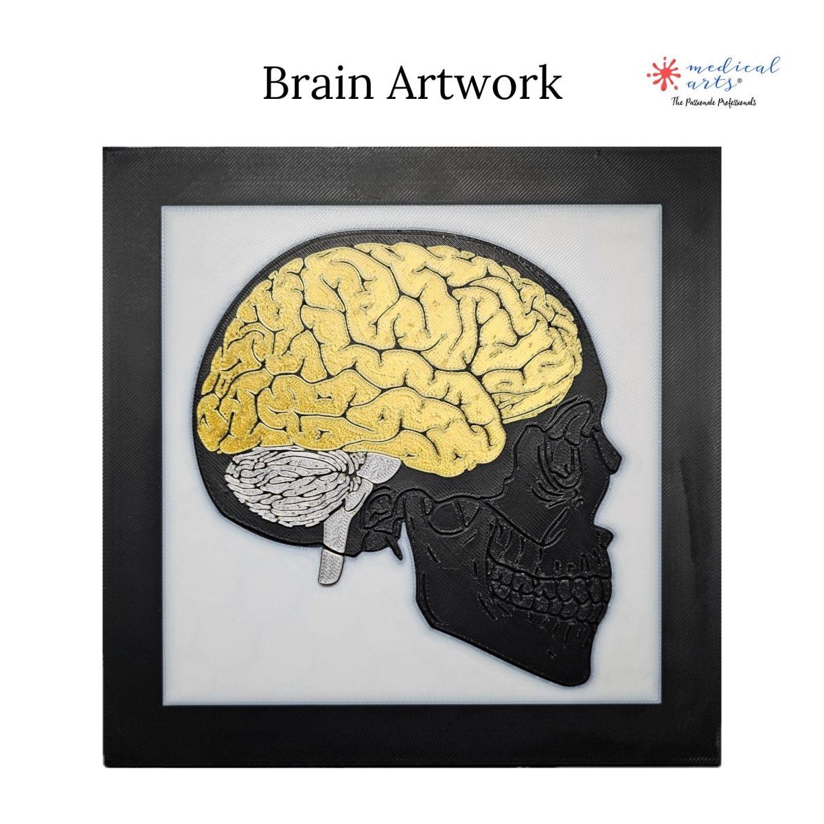 Medical Artwork - Framed Medical Art