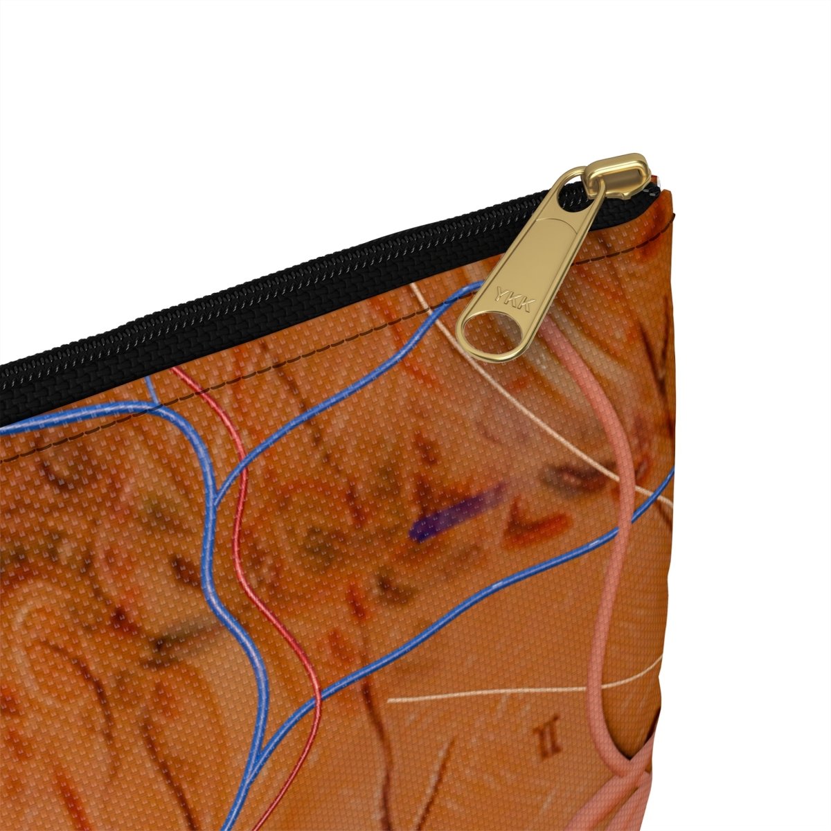 Medical Pouch - Anatomy - Flat Pouch Bags Medical Arts Shop