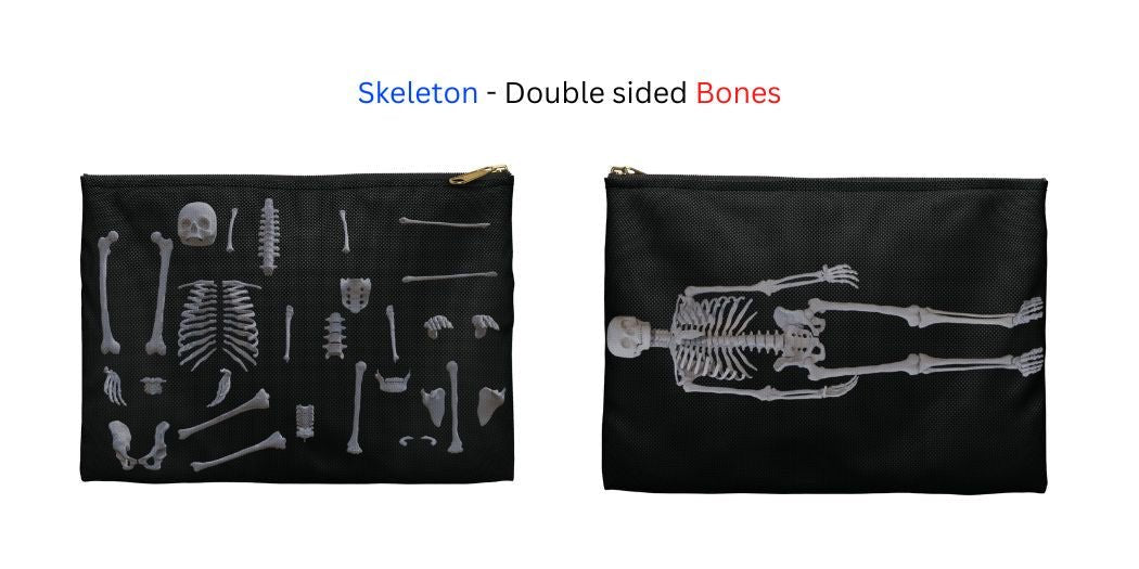 Medical Pouch - Anatomy - Flat Pouch Bags Medical Arts Shop