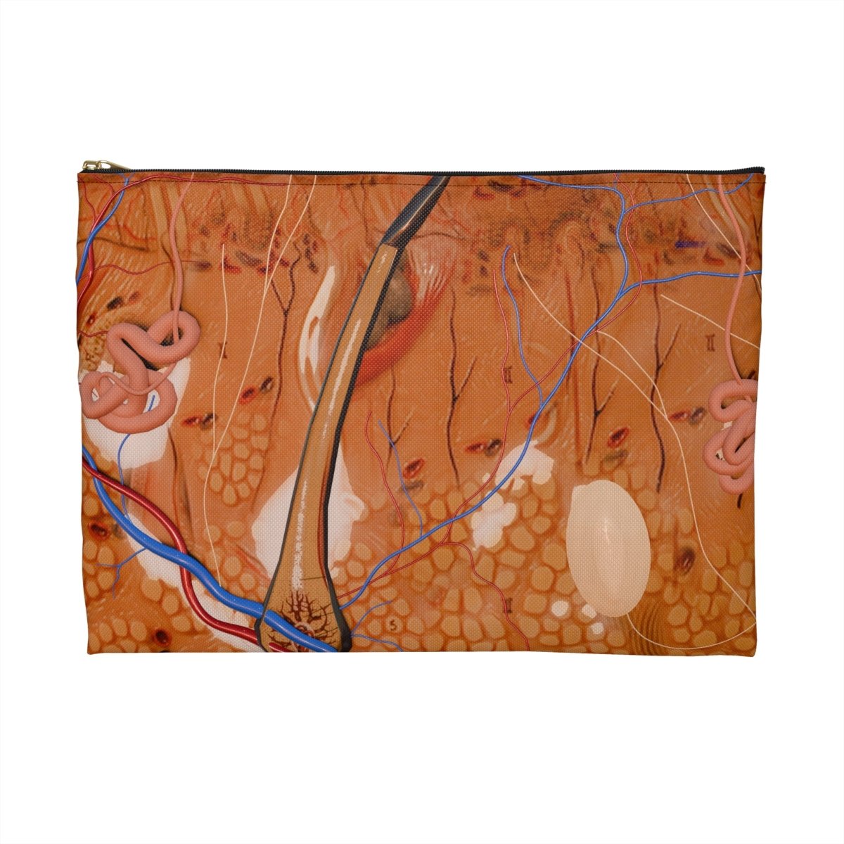 Medical Pouch - Anatomy - Flat Pouch Bags Medical Arts Shop