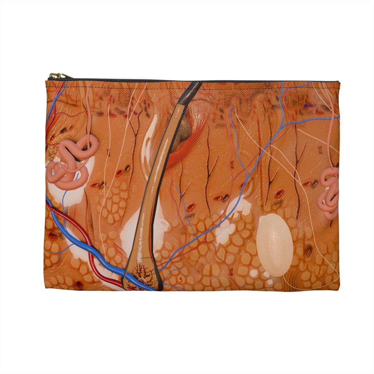 Medical Pouch - Anatomy - Flat Pouch Bags Medical Arts Shop