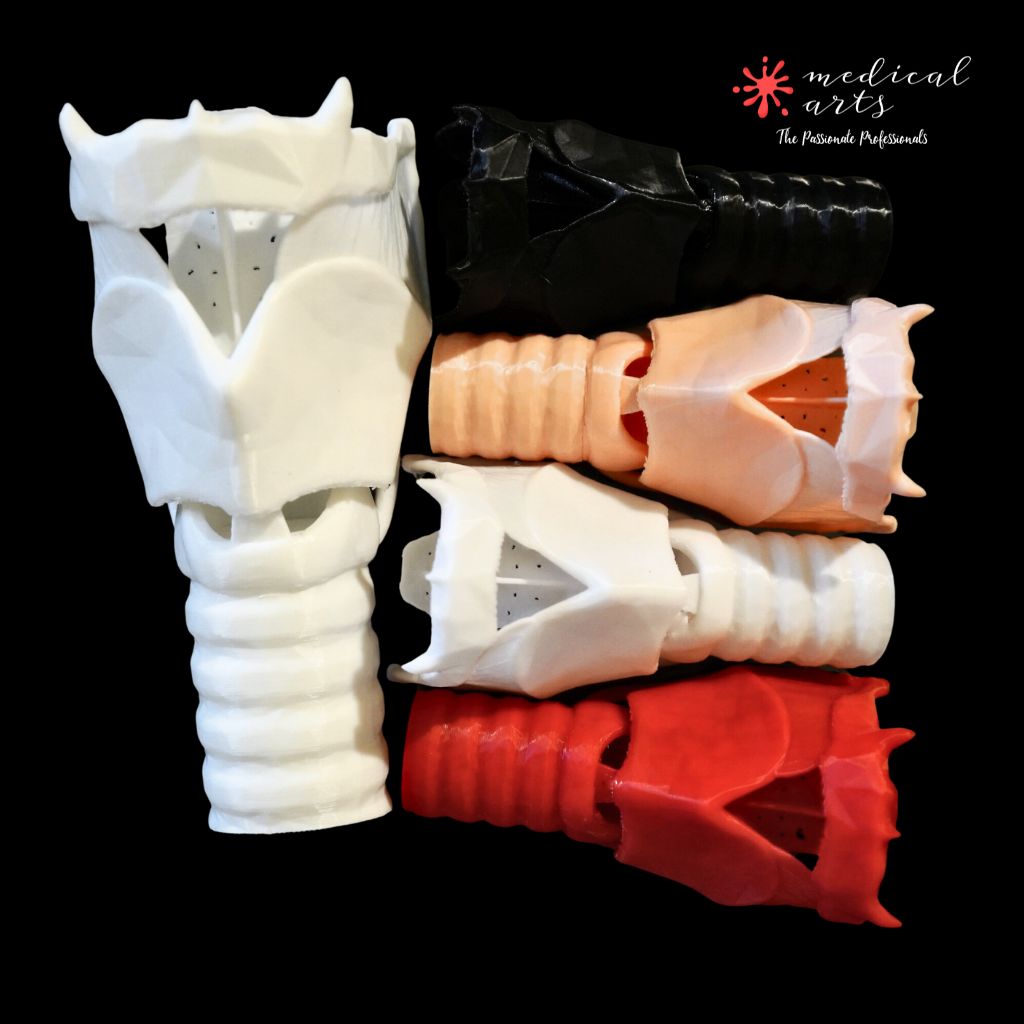 3D Larynx & Trachea Anatomy - Instant Download PDF - Windpipe book/ebook Medical Arts Shop