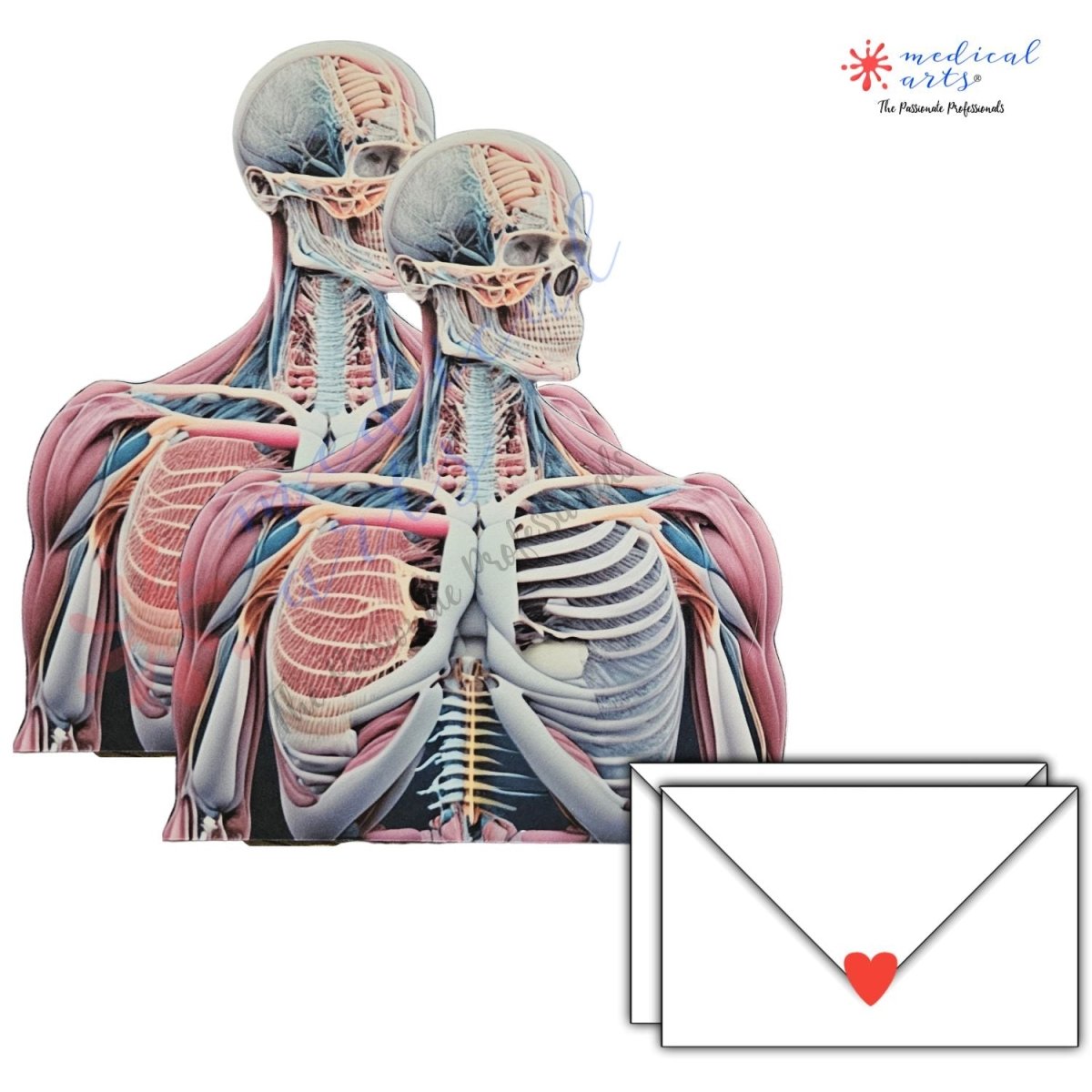 AI-Anatomy Personalized Postcards - MedArtistry™ Craft