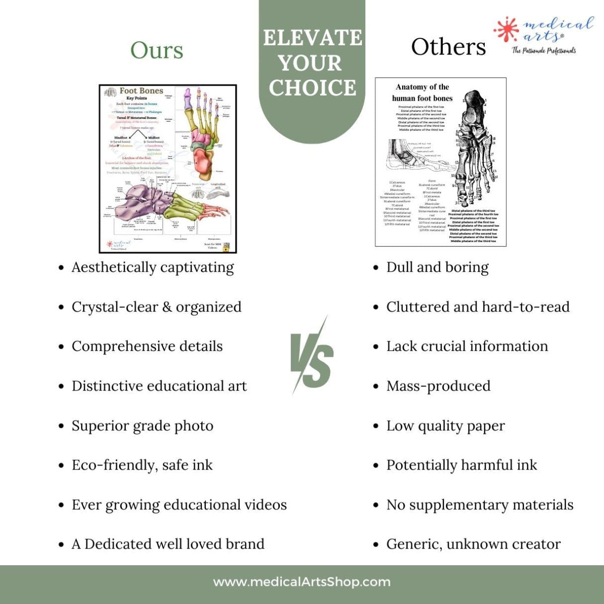 🦶 Anatomy of Human Foot Bones Display Posters, Prints, & Visual Artwork Medical Arts Shop