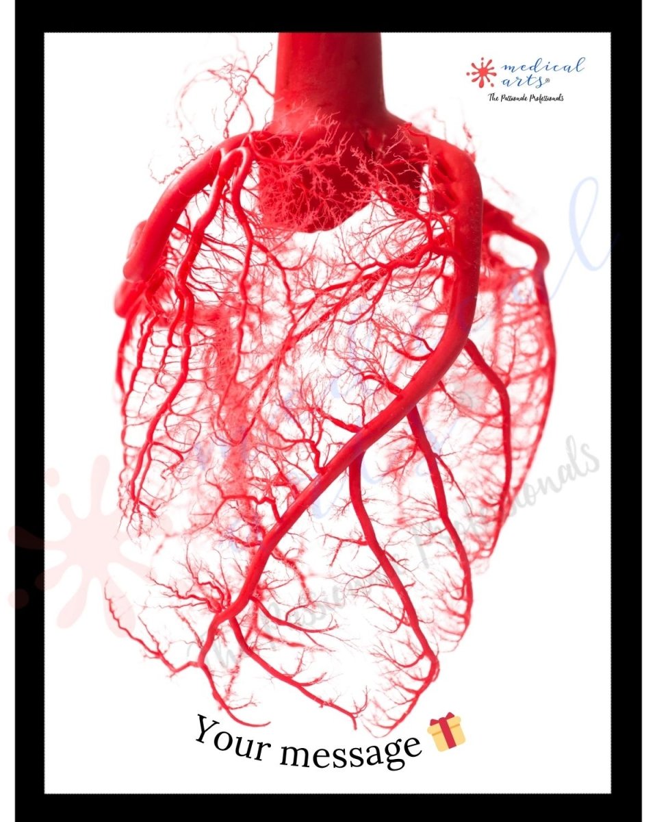 Heart Vessels - Fine Art Gallery - Personalized Posters, Prints, & Visual Artwork Medical Arts Shop