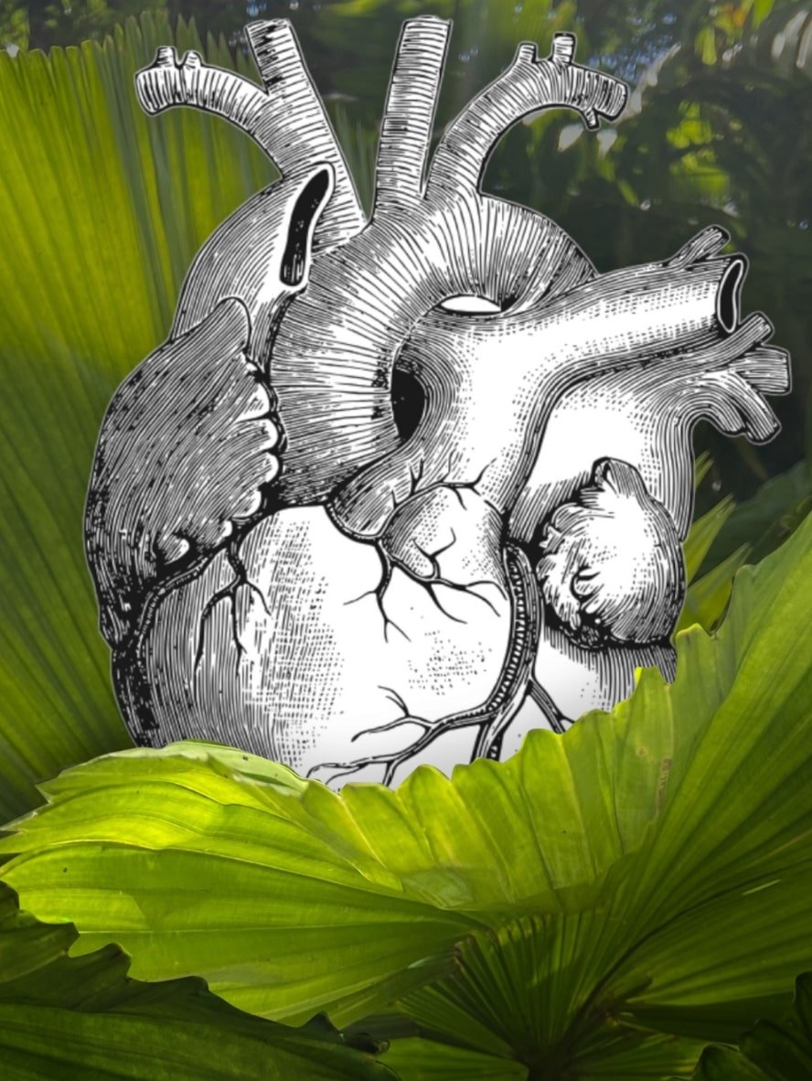MedArtistry™ Craft - Heart Shaped Custom Postcards - Medical Arts Postcards - Pour your heart out, literally! Heart Shaped Postcards Medical Arts Shop