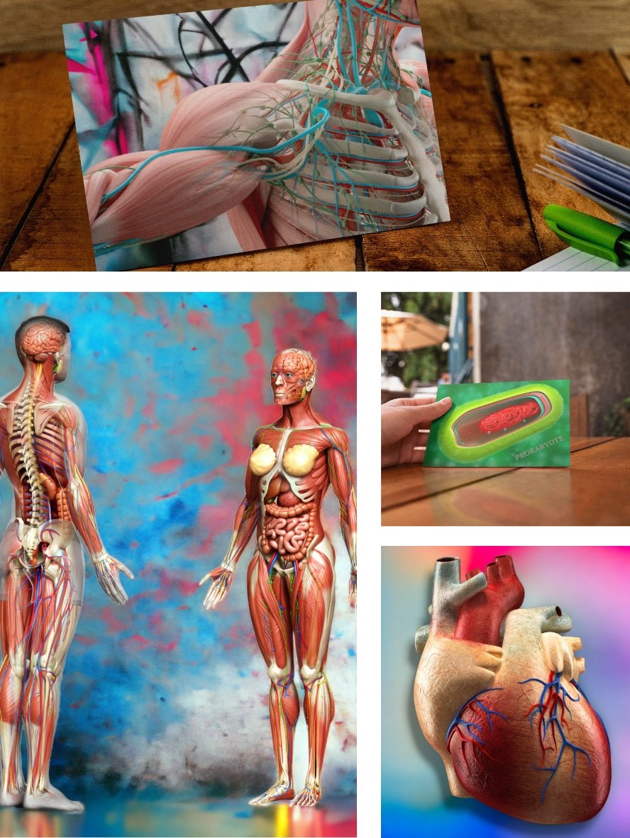 MedArtistry™ Vivant -  Cute Postcard with envelopes For Mailing -  4x6"