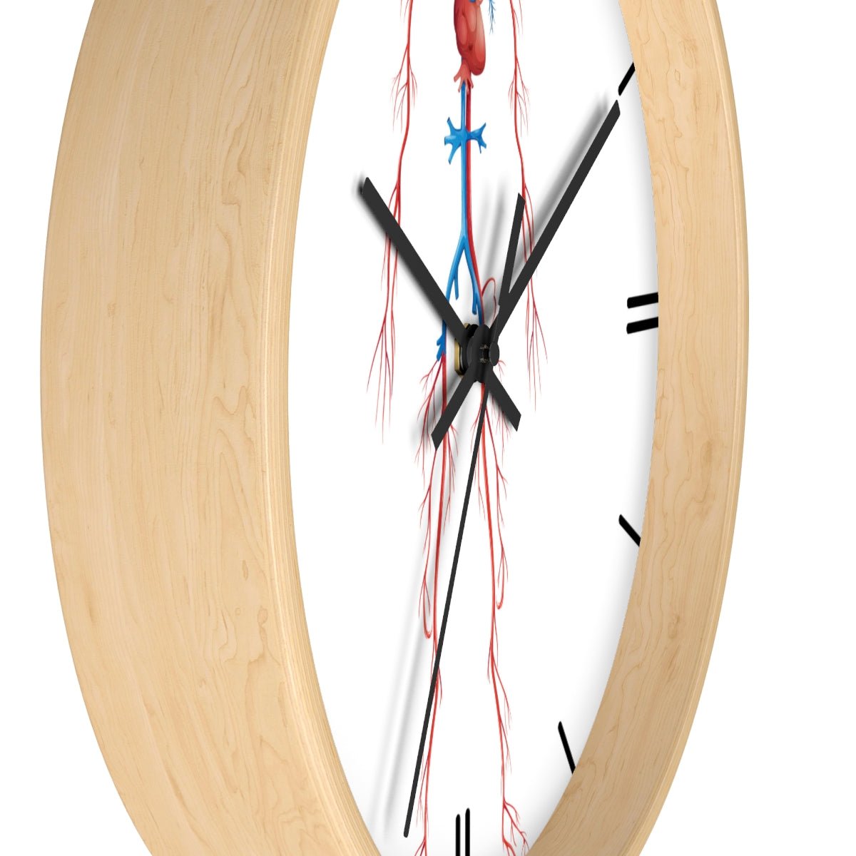 Wall Clock - Human Circulatory System