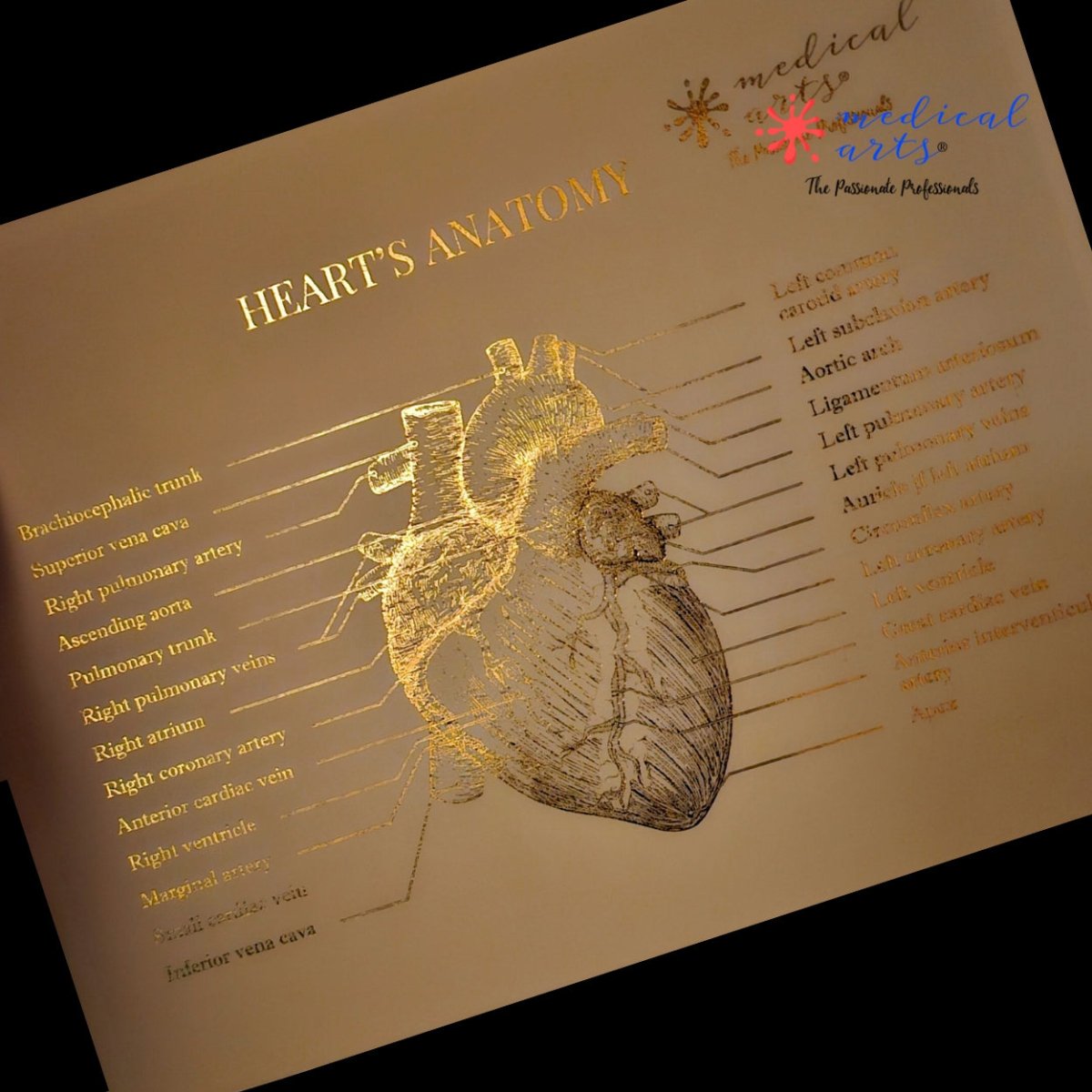 Metallic Foil Prints - Heart's Anatomy - Personalized - Medical Arts Foils Posters, Prints, & Visual Artwork Medical Arts Shop