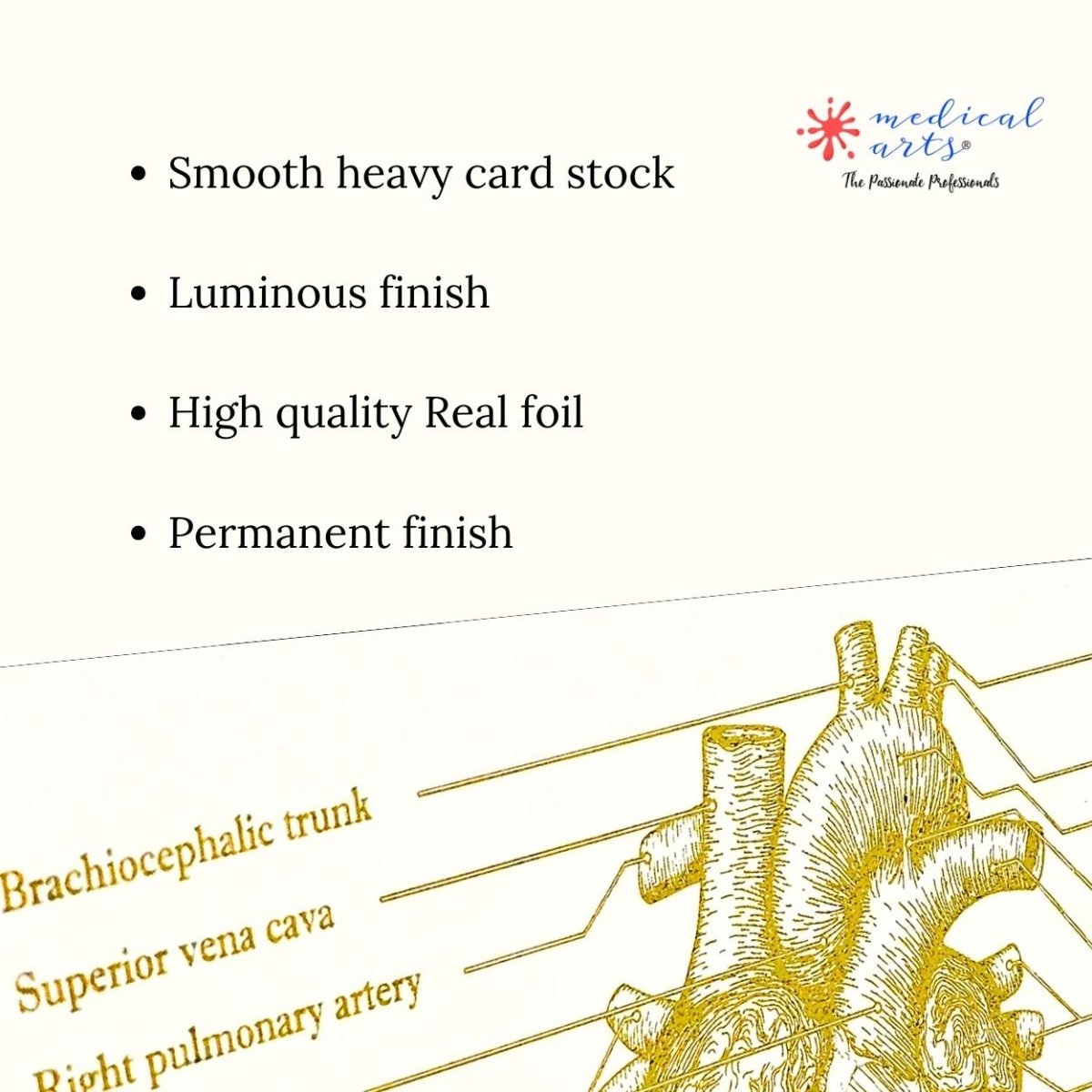 Metallic Foil Prints - Heart's Anatomy - Personalized - Medical Arts Foils Posters, Prints, & Visual Artwork Medical Arts Shop