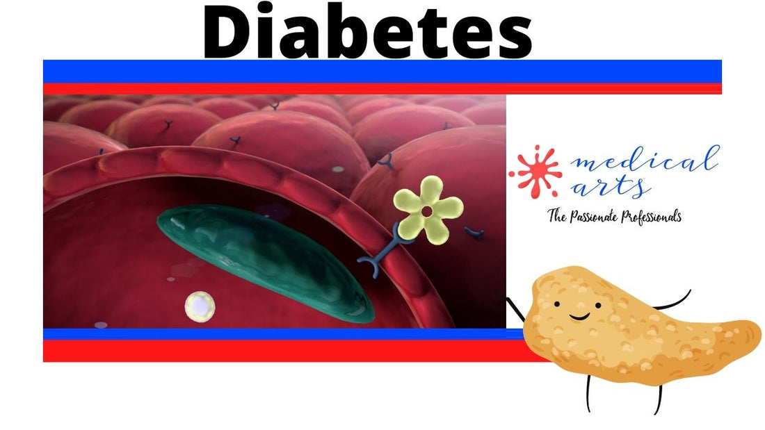 Diabetes Difference Between Type1 and type 2 - Pathophysiology of diabetes. - Medical Arts Shop