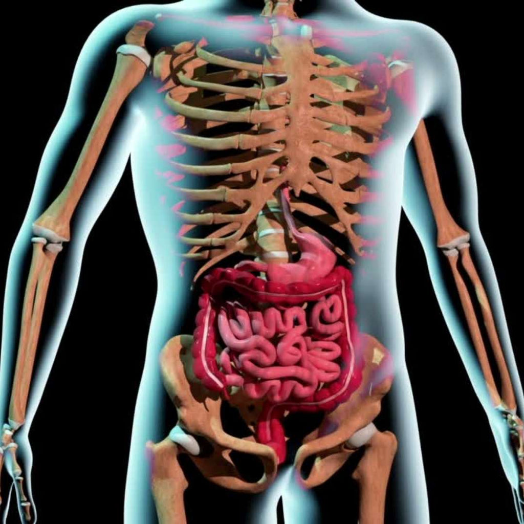 Medical Terminology | Color coded examples | 4K graphics – Medical Arts ...