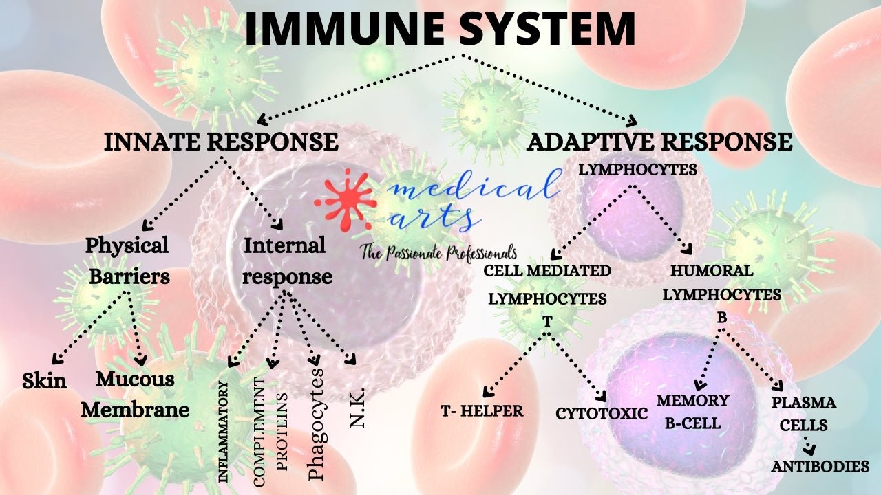 Autoimmune Health What are autoimmune diseases? – Medical Arts Shop