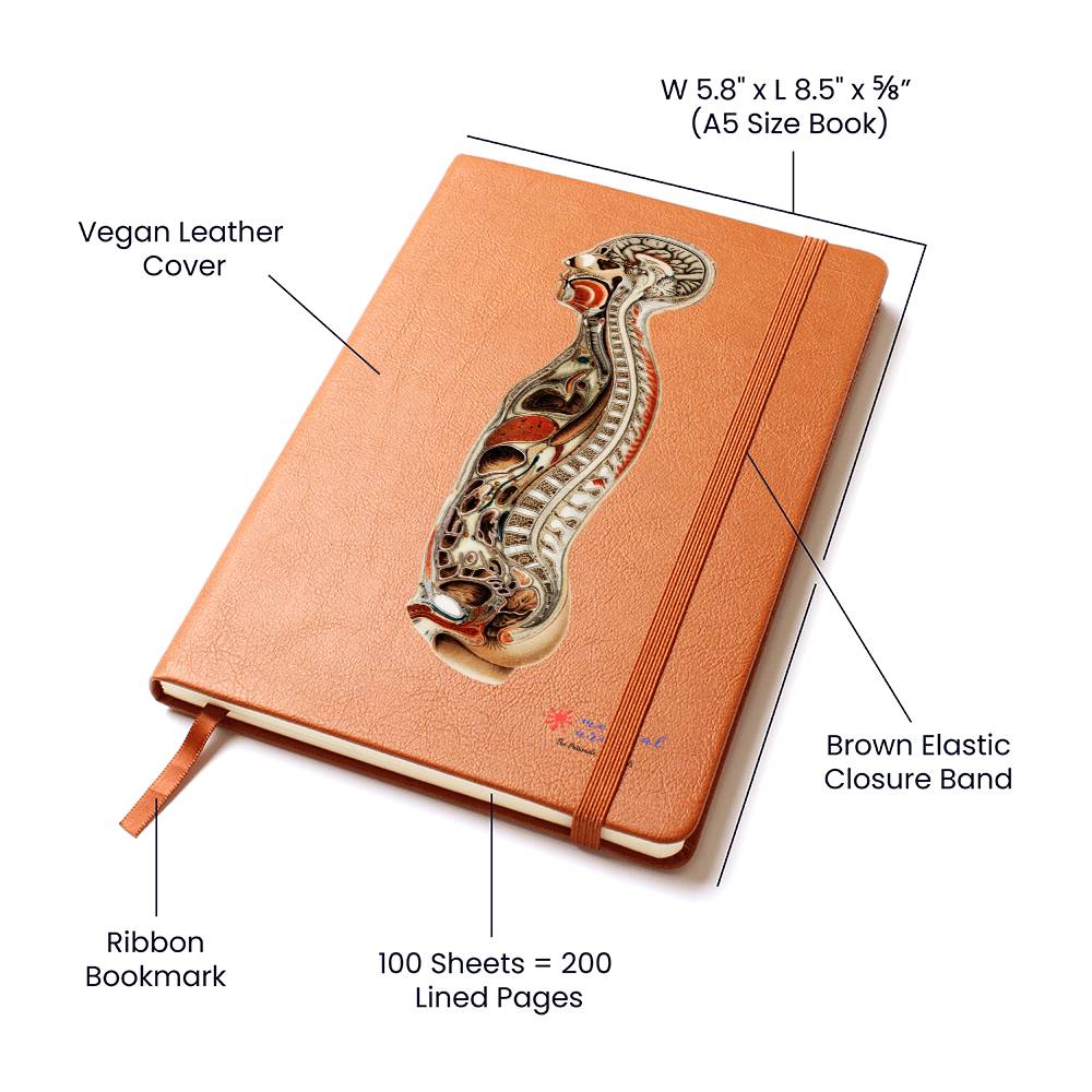 Clinical Companion - Premium Leather Notebook - Antique Anatomy 1898 Jewelry Medical Arts Shop