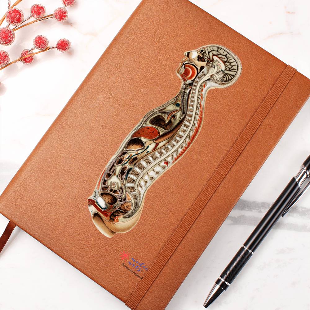 Clinical Companion - Premium Leather Notebook - Antique Anatomy 1898 Jewelry Medical Arts Shop