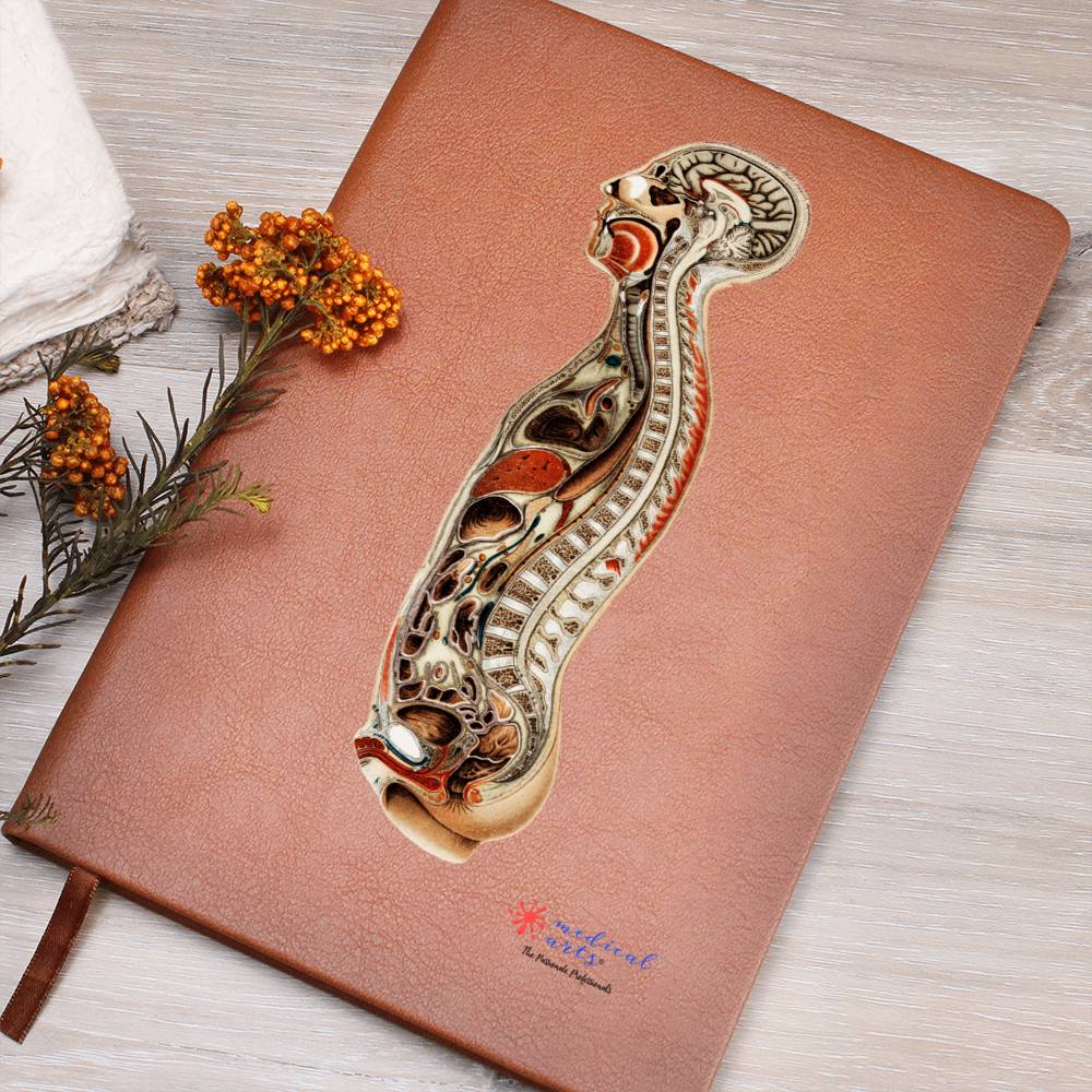 Clinical Companion - Premium Leather Notebook - Antique Anatomy 1898 Jewelry Medical Arts Shop