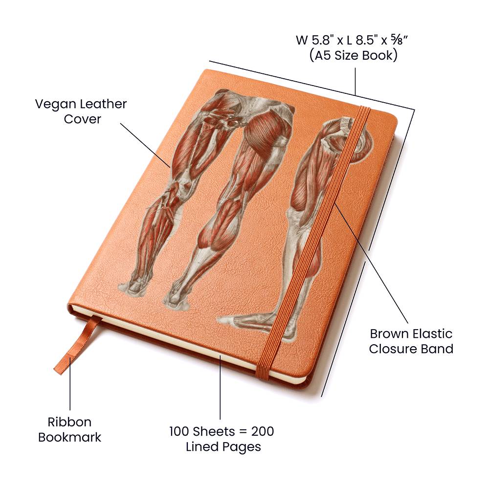 Clinical Companion - Premium Leather Notebook - Muscles of the legs and feet 1864 Jewelry Medical Arts Shop