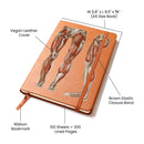 Clinical Companion - Premium Leather Notebook - Muscles of the legs and feet 1864 Jewelry Medical Arts Shop