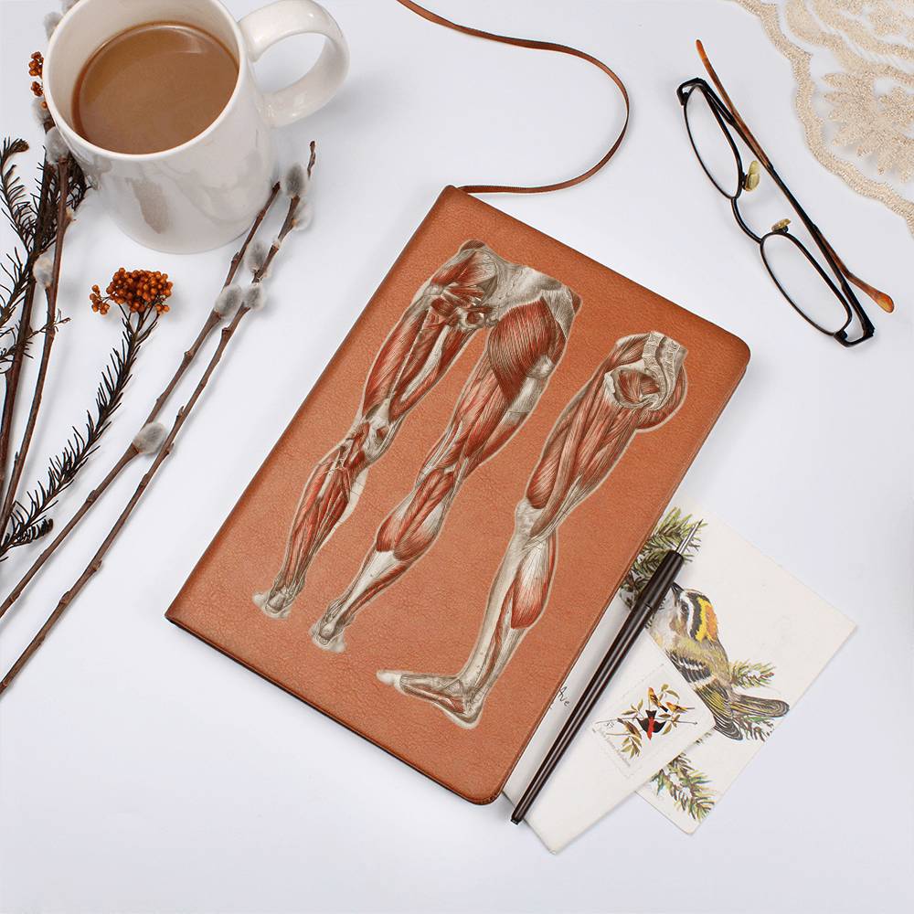 Clinical Companion - Premium Leather Notebook - Muscles of the legs and feet 1864 Jewelry Medical Arts Shop