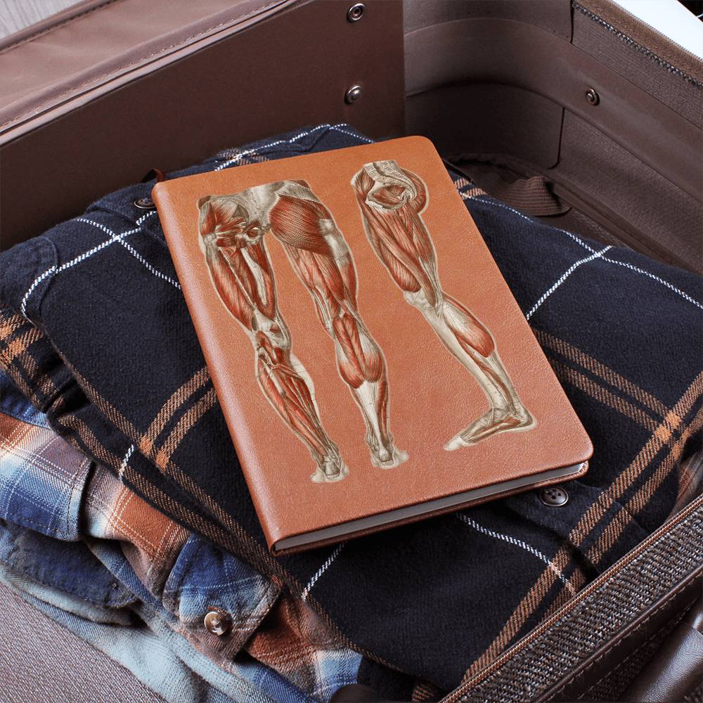 Clinical Companion - Premium Leather Notebook - Muscles of the legs and feet 1864 Jewelry Medical Arts Shop