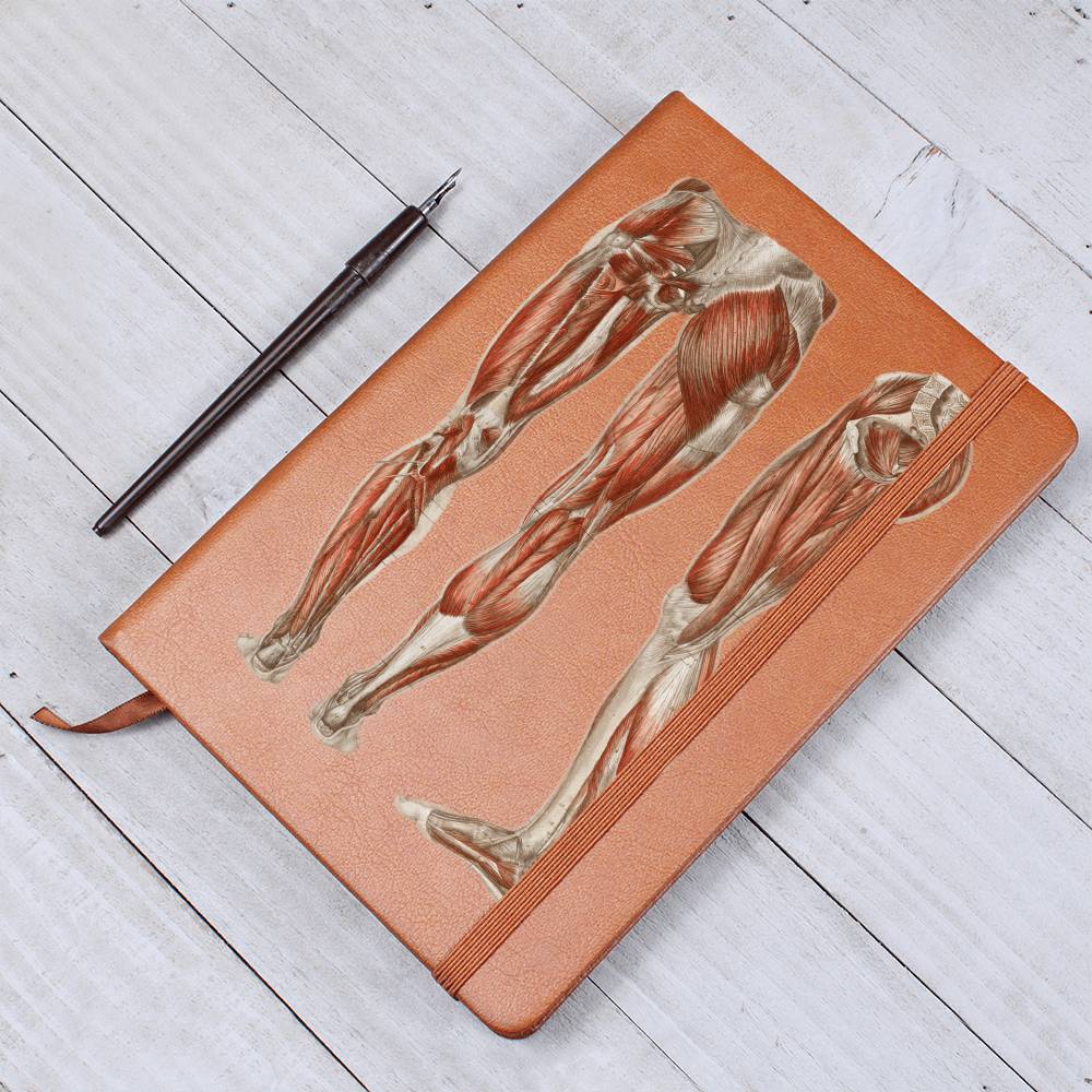 Clinical Companion - Premium Leather Notebook - Muscles of the legs and feet 1864