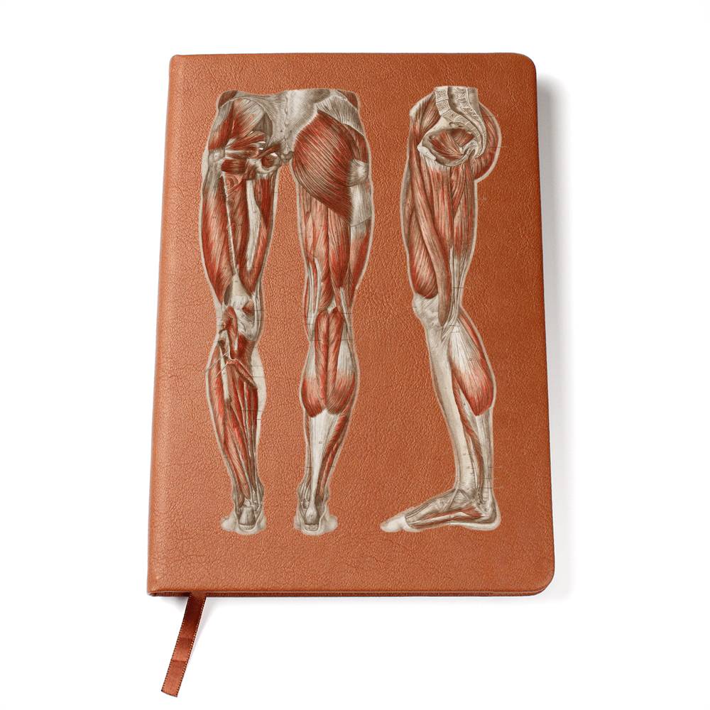 Clinical Companion - Premium Leather Notebook - Muscles of the legs and feet 1864