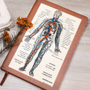 Clinical Companion - Premium Leather Notebook - Vintage Angeiology year 1900 Jewelry Medical Arts Shop