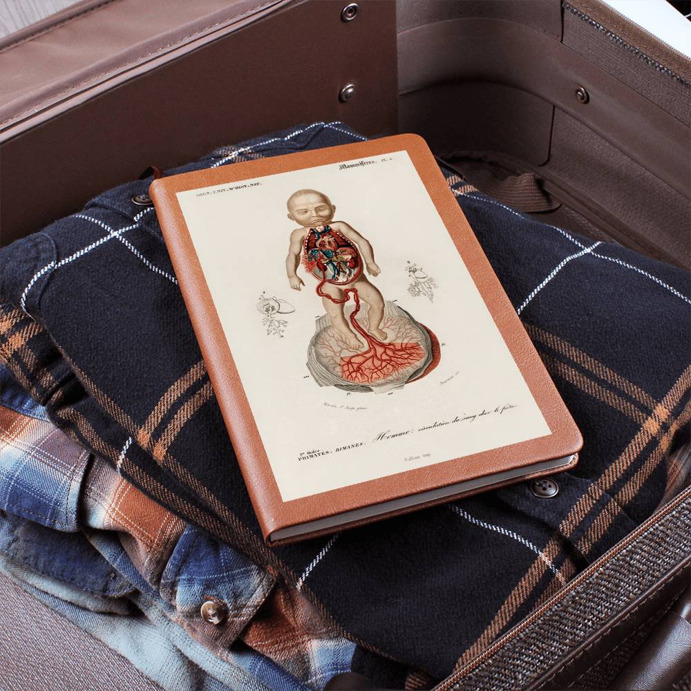 Clinical Companion - Premium Leather Notebook - Vintage Fetus Anatomy, Charles d'Orbigny 1841 Jewelry Medical Arts Shop