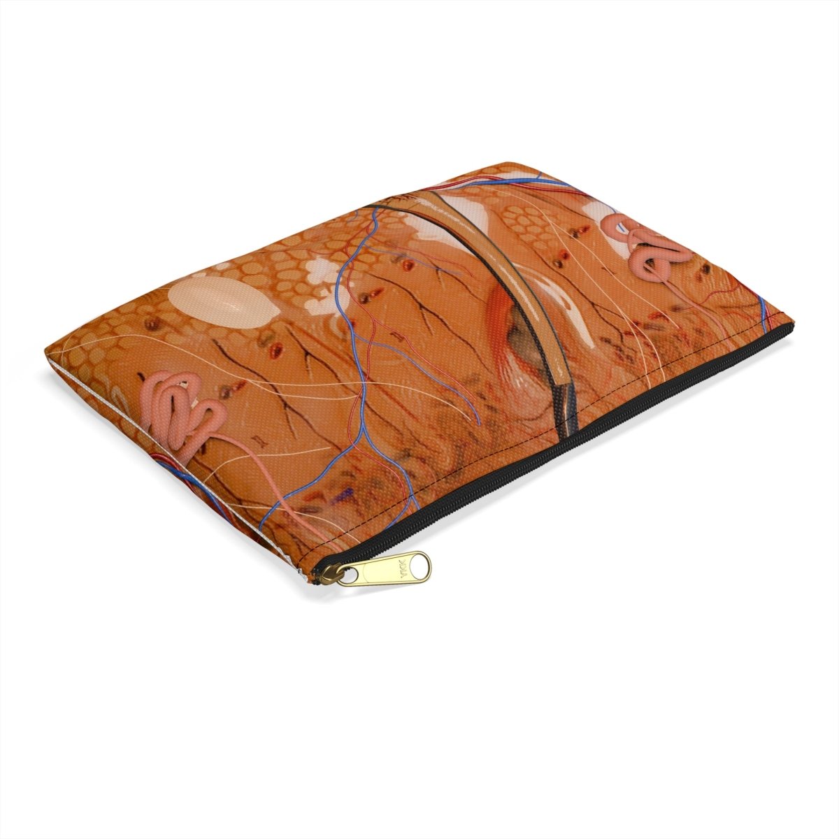 Medical Pouch - Anatomy - Flat Pouch Bags Medical Arts Shop