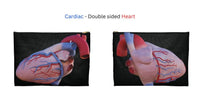 Medical Pouch - Anatomy - Flat Pouch Bags Medical Arts Shop
