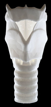 3D Larynx & Trachea Anatomy - High Quality Accurate 3D Larynx - Trach model - Windpipe + Base + Bonuses medical model