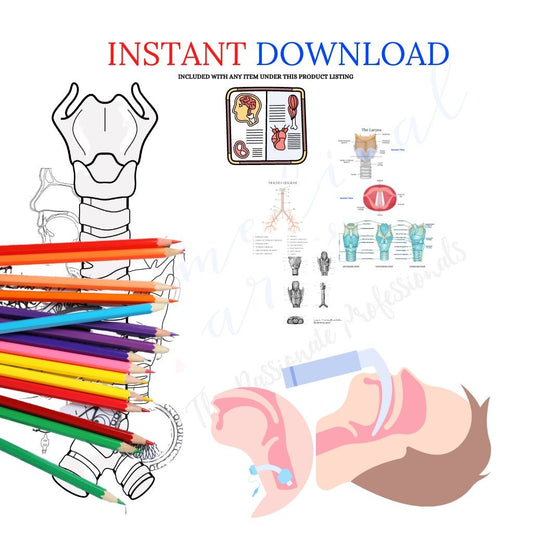 3D Larynx & Trachea Anatomy - Instant Download PDF - Windpipe book/ebook Medical Arts Shop
