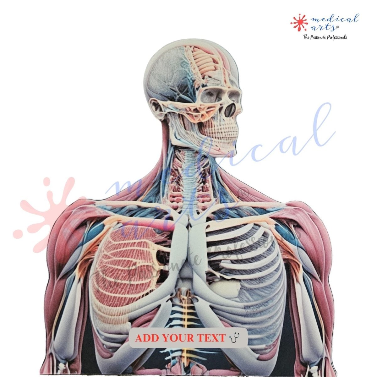 AI-Anatomy Personalized Postcards - MedArtistry™ Craft