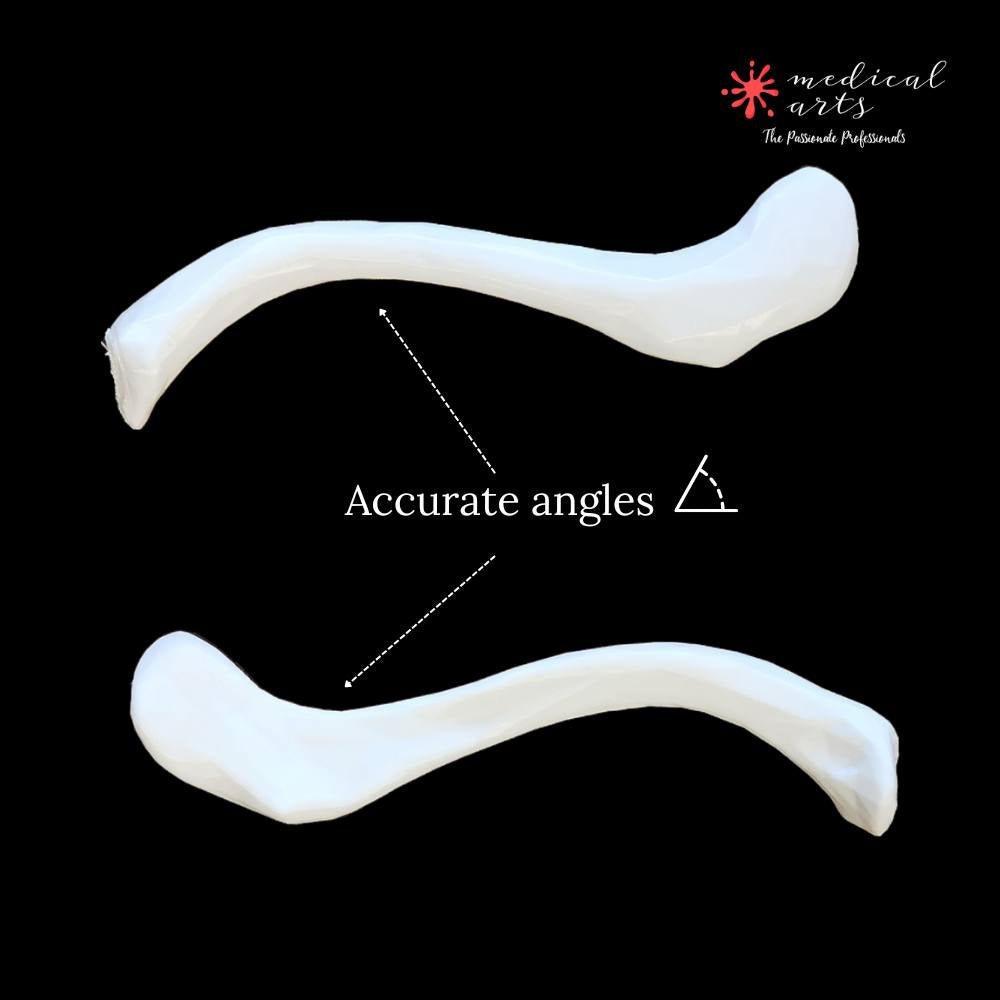 Clavicle 3D model - Collarbone Anatomically correct - Clavicula +PDF booklet 3D model Medical Arts Shop