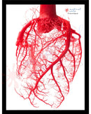 Fine Art Gallery - Heart Vessels - Personalized Posters, Prints, & Visual Artwork Medical Arts Shop