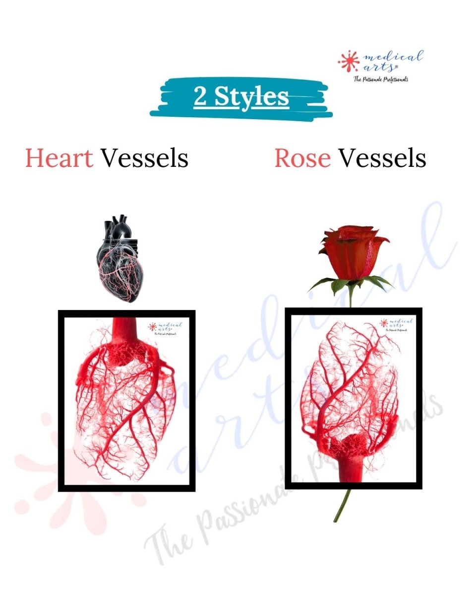 Fine Arts Gallery - Heart Vessels Posters, Prints, & Visual Artwork Medical Arts Shop